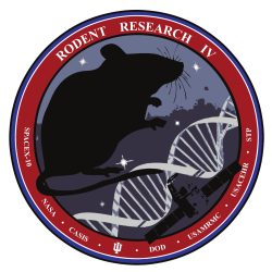 rodent research-4 mission patch