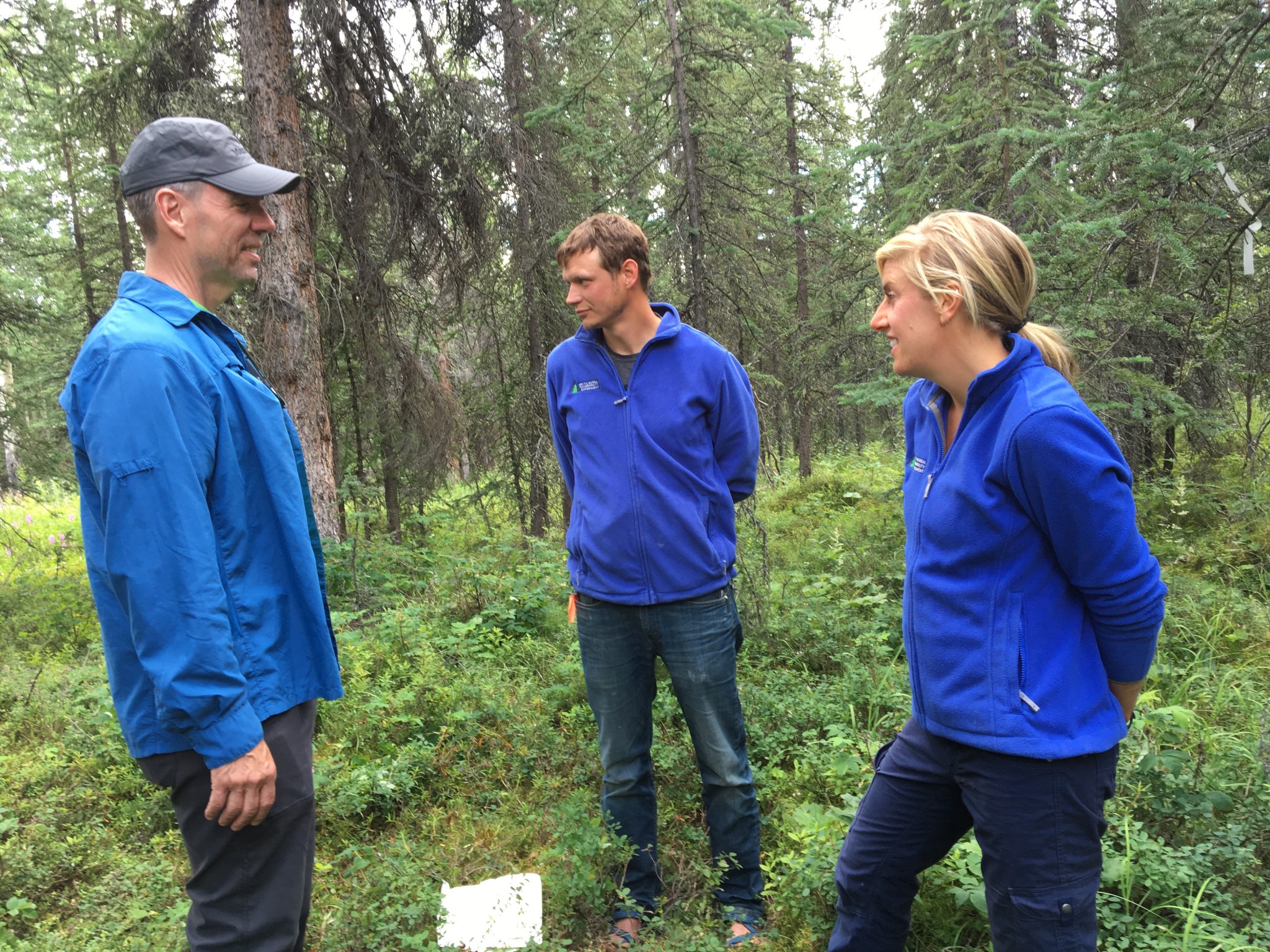 Dr. Peter Griffith stands with two colleagues in a forest, doing field research. All three wear bright blue jackets with NASA'S "ABoVE" project logo on the right chest, and Peter, a man with short gray hair, wears a gray baseball cap. The researchers stand in dense, calf-high plant material, with tall, thin evergreens visible behind them. It is a cloudy day and the light is soft and diffuse.