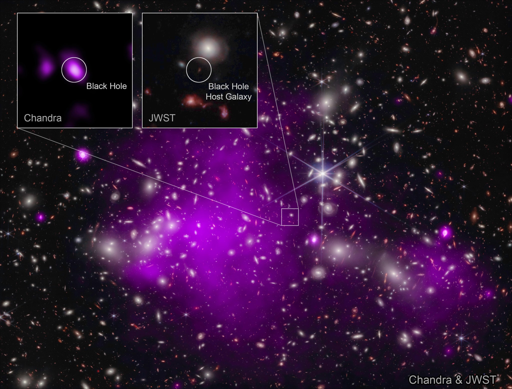 Gli astronomi hanno trovato il buco nero più distante mai rilevato nei raggi X (in una galassia chiamata UHZ1) utilizzando i telescopi spaziali Chandra e Webb.  L’emissione di raggi X è la firma rivelatrice di un buco nero supermassiccio in crescita.  Questo risultato potrebbe spiegare come si sono formati alcuni dei primi buchi neri supermassicci nell’universo.  Questa immagine mostra l'ammasso di galassie Abell 2744 dietro cui si trova UHZ1, nei raggi X di Chandra e nei dati infrarossi di Webb, nonché primi piani della galassia ospite del buco nero UHZ1.