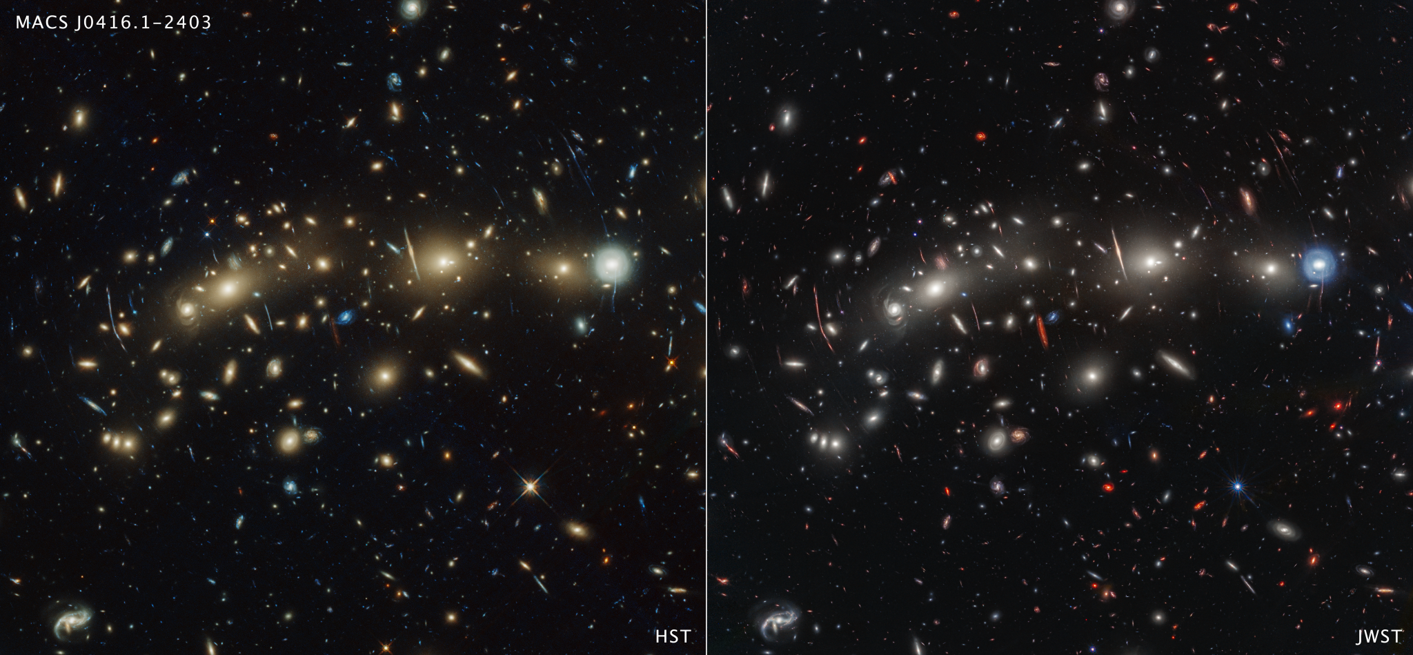 Two side-by-side photos of the same region of space. The left image is labeled “HST” and the right image “JWST.” A variety of galaxies of various shapes are scattered across the image, making it feel densely populated. The JWST image contains a number of red galaxies that are invisible or only barely visible in the HST image.