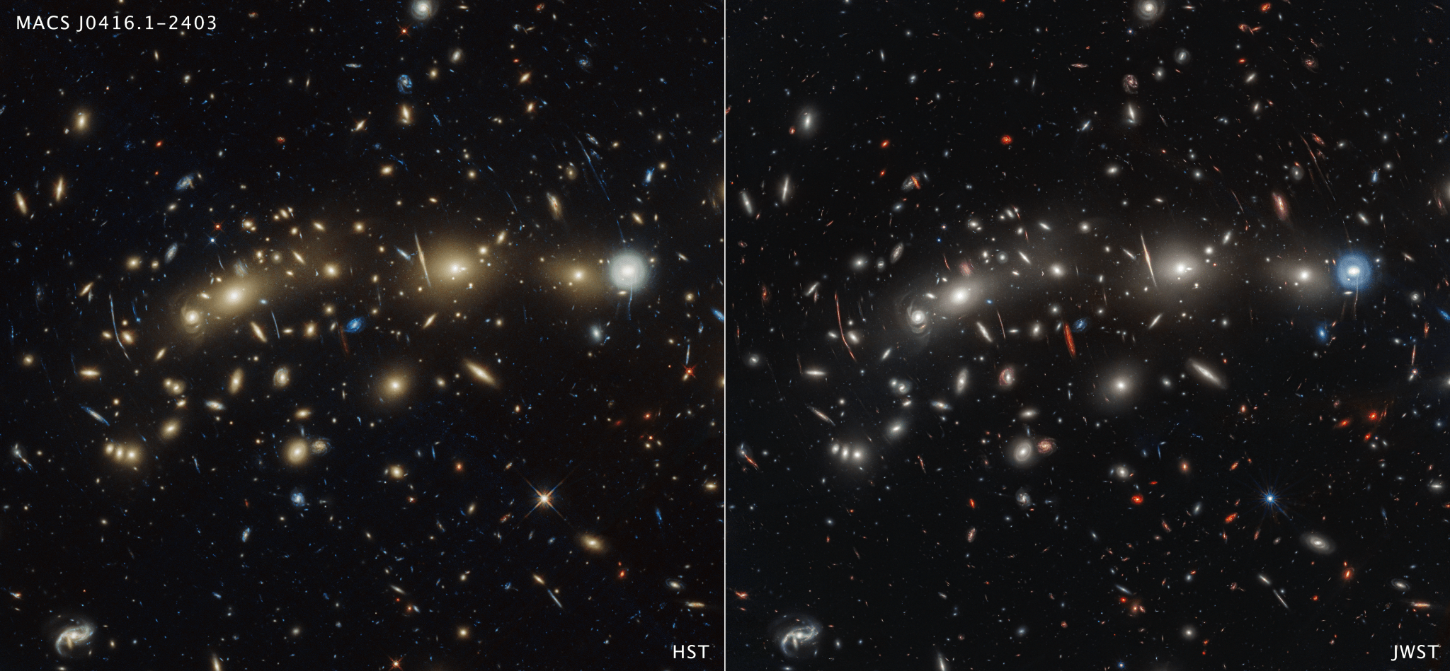 Two side-by-side photos of the same region of space. The left image is labeled “HST” and the right image “JWST.” A variety of galaxies of various shapes are scattered across the image, making it feel densely populated. The JWST image contains a number of red galaxies that are invisible or only barely visible in the HST image.