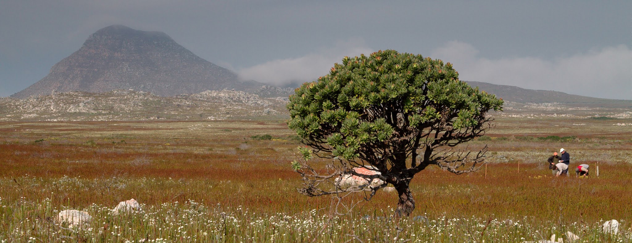 NASA Helps Study One of the World’s Most Diverse Ecosystems