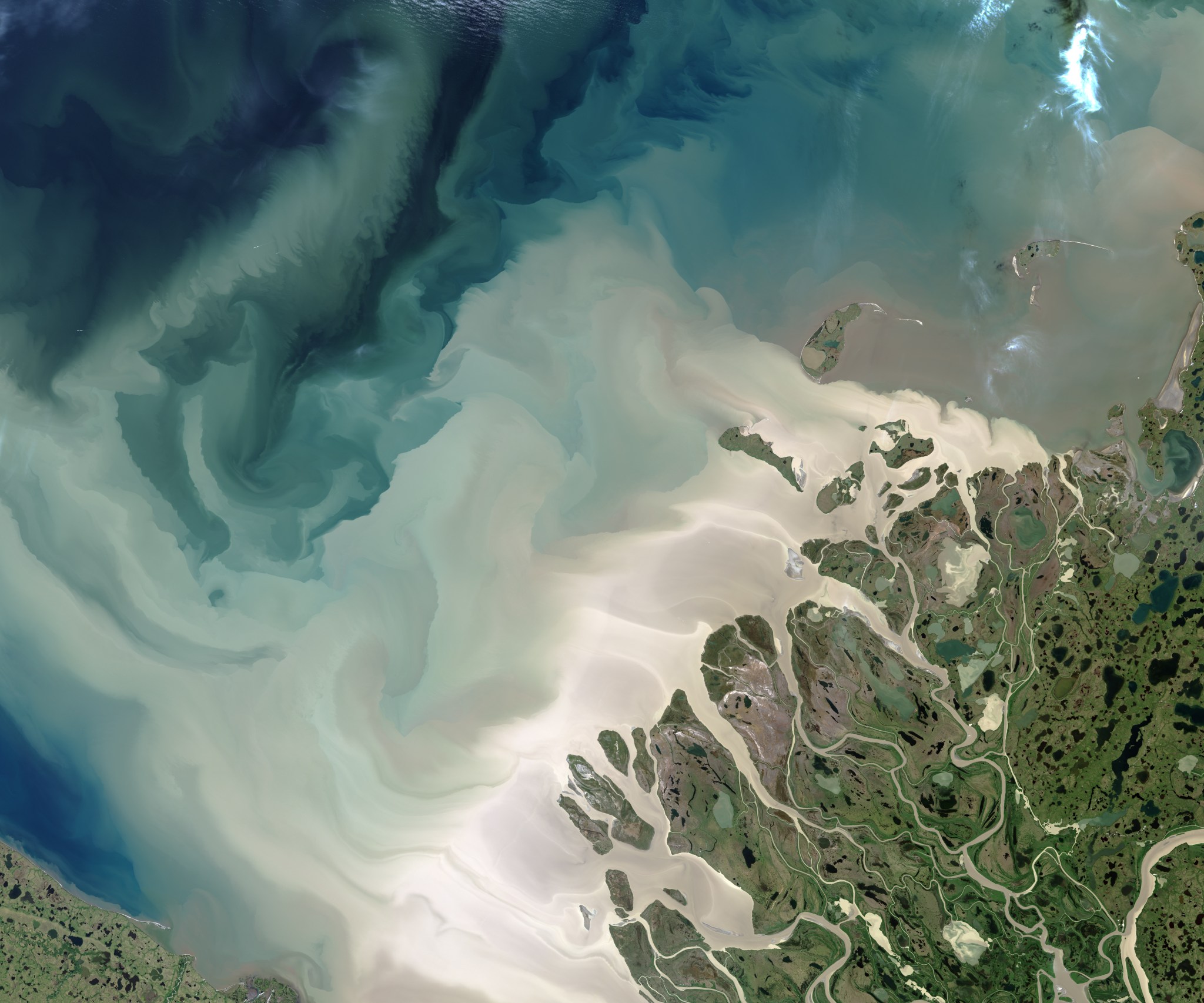 Sediment from Canada’s Mackenzie River empties into the Beaufort Sea in milky swirls in this 2017 satellite image. Scientists are studying how river discharge drives carbon dioxide emissions in this part of the Arctic Ocean.