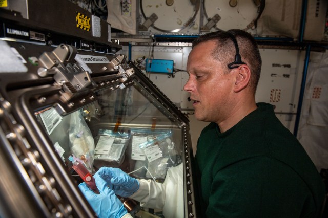 iss067e189976 (July 19, 2022) --- Expedition 67 Flight Engineer and NASA astronaut Bob Hines processes samples inside the Life Science Glovebox for the Immunosenescence space biology study. The experiment takes place inside the International Space Station's Kibo laboratory module and explores the immunological aging of cells in weightlessness possibly informing therapies for immune system conditions humans may experience living on and off Earth.