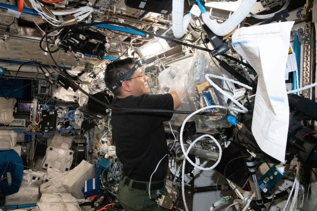 NASA astronaut and Expedition 69 Flight Engineer Frank Rubio uses a glovebag to service the BioFabrication Facility, replacing and installing components inside the research device designed to print organ-like tissues in microgravity and learn how to manufacture whole, fully-functioning human organs in space