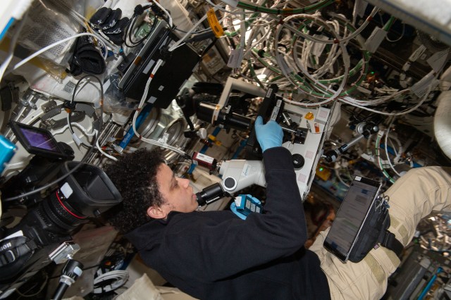 Expedition 67 Flight Engineer and NASA astronaut Jessica Watkins sets up cell samples for viewing in a microscope for the Immunosenescence space biology study. The investigation studies the immunological aging of cells that takes place in microgravity to learn how to keep astronauts healthy on long term missions and treat immunity conditions on Earth.