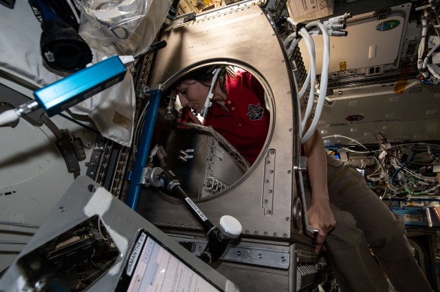 Expedition 67 Flight Engineer and ESA (European Space Agency) astronaut Samantha Cristoforetti works inside the Microgravity Science Glovebox removing hardware that supported the Ring Sheared Drop experiment. The fluid physics study observes the formation of destructive protein clusters that may be responsible for neurodegenerative diseases such as Alzheimer’s.