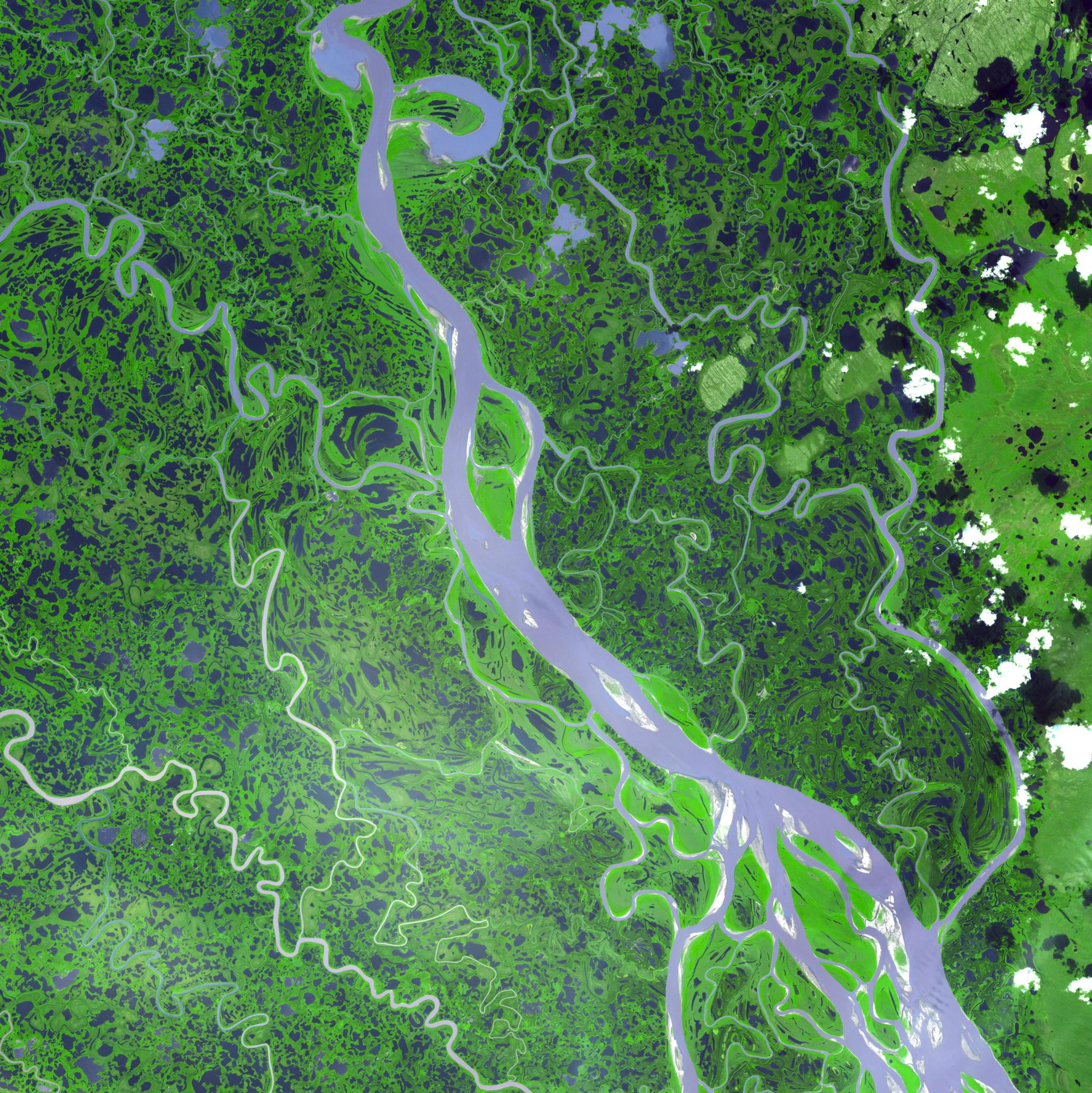 Like a conveyer belt of carbon, the Mackenzie River, seen here in 2007 from NASA’s Terra satellite, drains an area of almost 700,000 square miles (1.8 million square kilometers) on its journey north to the Arctic Ocean. Some of the carbon originates from thawing permafrost and peatlands.