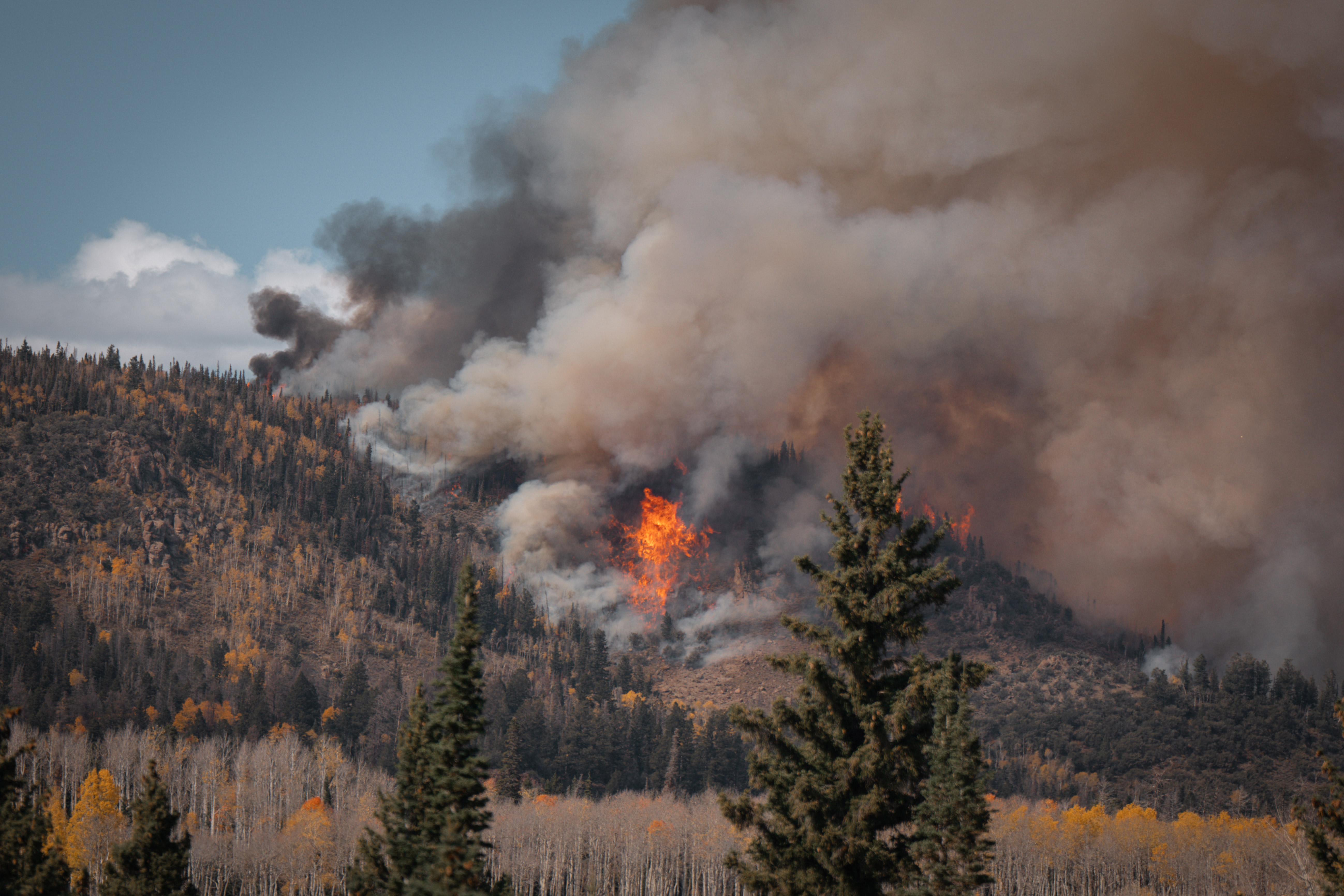 A hillside is covered in gold and green trees. At the center of the image, orange flames burn brightly, sending huge clouds of gray and brown smoke into the sky. The smoke covers most of the muted blue sky.