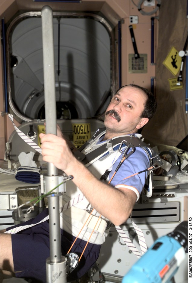 Cosmonaut Yury V. Usachev, Expedition Two mission commander, wears a harness while conducting resistance exercises in the Node 1 / Unity module of the International Space Station (ISS). This image was recorded with a digital still camera.