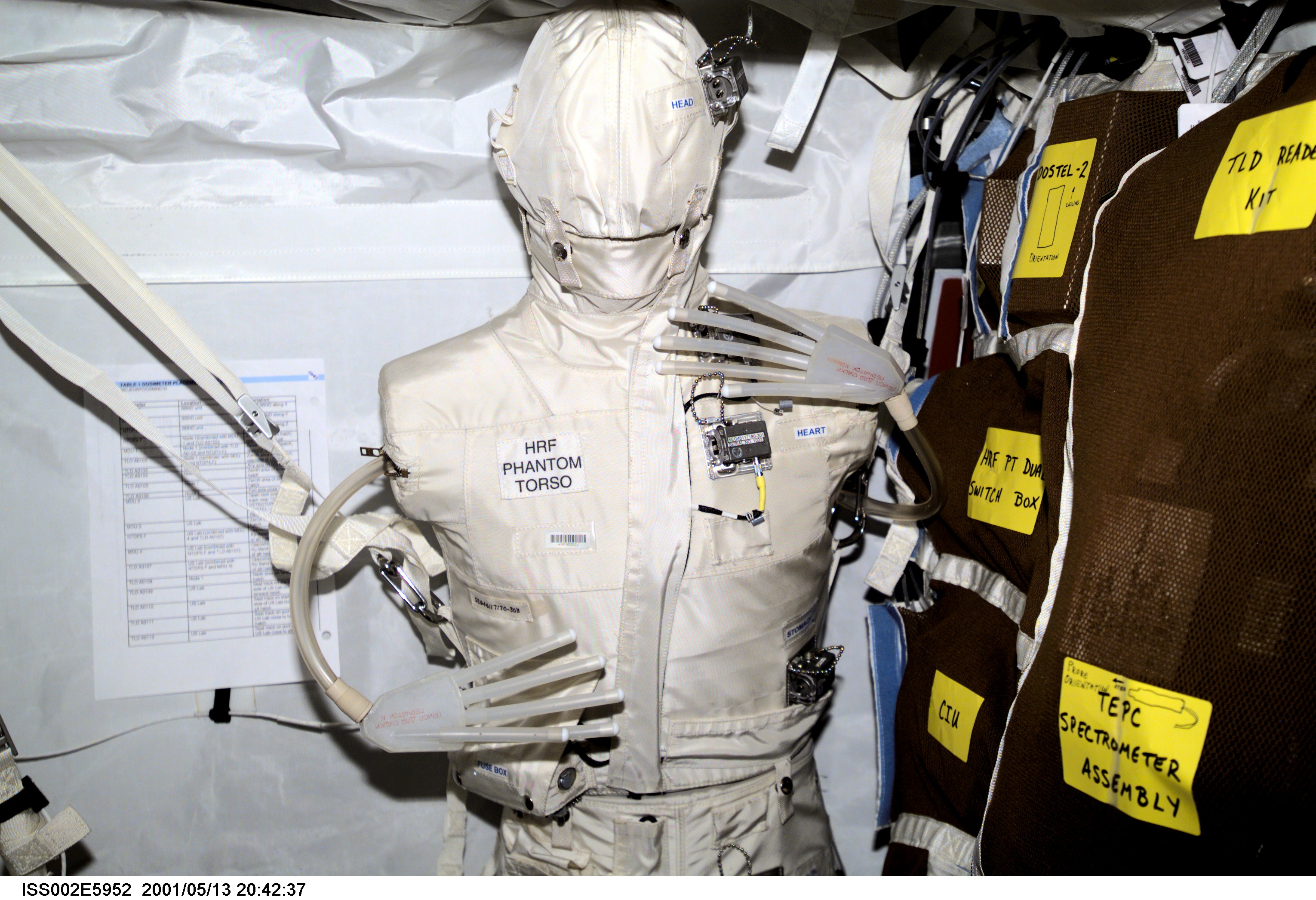 The Phantom Torso, seen here in the Destiny laboratory on the International Space Station (ISS), is designed to measure the effects of radiation on organs inside the body by using a torso that is similar to those used to train radiologists on Earth. The torso is equivalent in height and weight to an average adult male. It contains radiation detectors that will measure, in real-time, how much radiation the brain, thyroid, stomach, colon, and heart and lung area receive on a daily basis. The data will be used to determine how the body reacts to and shields its internal organs from radiation, which will be important for longer duration space flights. The experiment was delivered to the orbiting outpost during by the STS-100/6A crew in April 2001. Dr. Gautam Badhwar, NASA JSC, Houston, TX, is the principal investigator for this experiment. A digital still camera was used to record this image.
