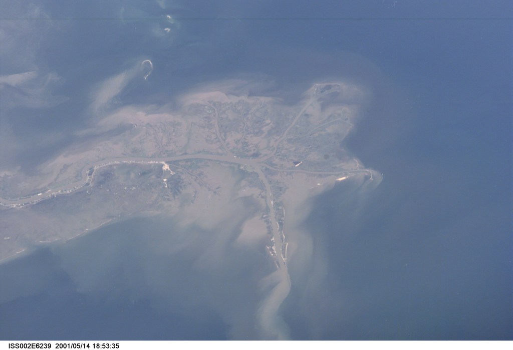 This digital still camera's image, recorded by one of the Expedition Two crew members aboard the International Space Station, features the mouth of the Mississippi River. The distribution of riverborne sediments is clearly evident in the Gulf of Mexico. This delta area is often referred to as the "crow's foot."