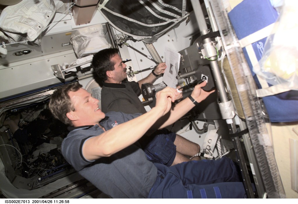 Astronauts Scott E. Parazynski and Chris A. Hadfield, mission specialists, install the Interim Resistive Exercise Devise (IRED) in the Unity/Node 1. Hadfield represents the Canadian Space Agency (CSA). A digital still camera was used to record this image.