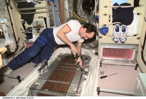 Cosmonaut Yury V. Usachev, Expedition Two commander representing Rosaviakosmos, conducts maintenance on the Treadmill Vibration Isolation System (TVIS) in the Zvezda/Service Module. A digital still camera was used to record this image.