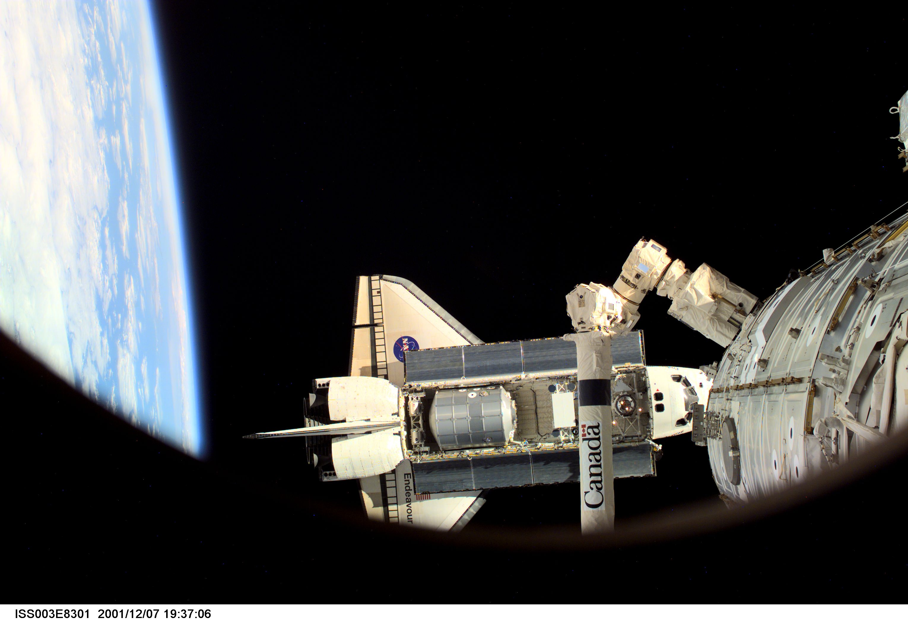 The Space Shuttle Endeavour, controlled by the flight crew of STS-108, is backdropped against the blackness of space over Earth's horizon as it approaches the International Space Station (ISS). The Raffaello logistics module that is being brought up to the orbiting outpost is clearly visible in Endeavour's cargo bay. The Space Station Remote Manipulator System (SSRMS) or Canadarm2 is visible at lower right. Among other activities the Endeavour's mission will include the change out of the station crews. The image was recorded with a digital still camera.