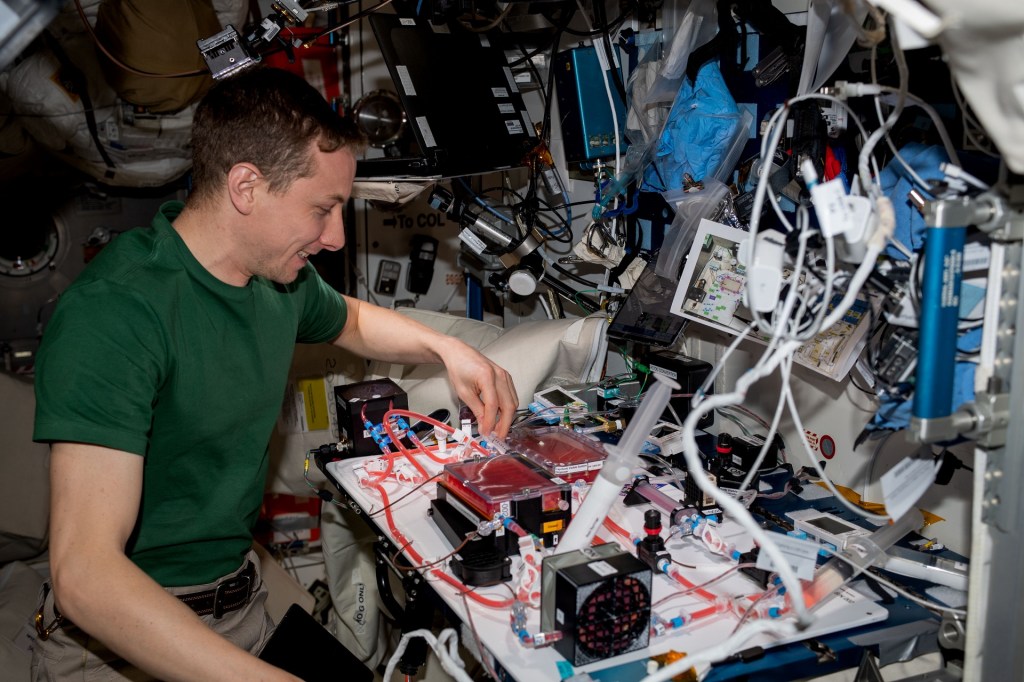 Hoburg adjusts part of an experiment on the table in front of him. He is wearing a green t-shirt and khakis. Two transparent containers of red liquid are attached to transparent tubes running in different directions.