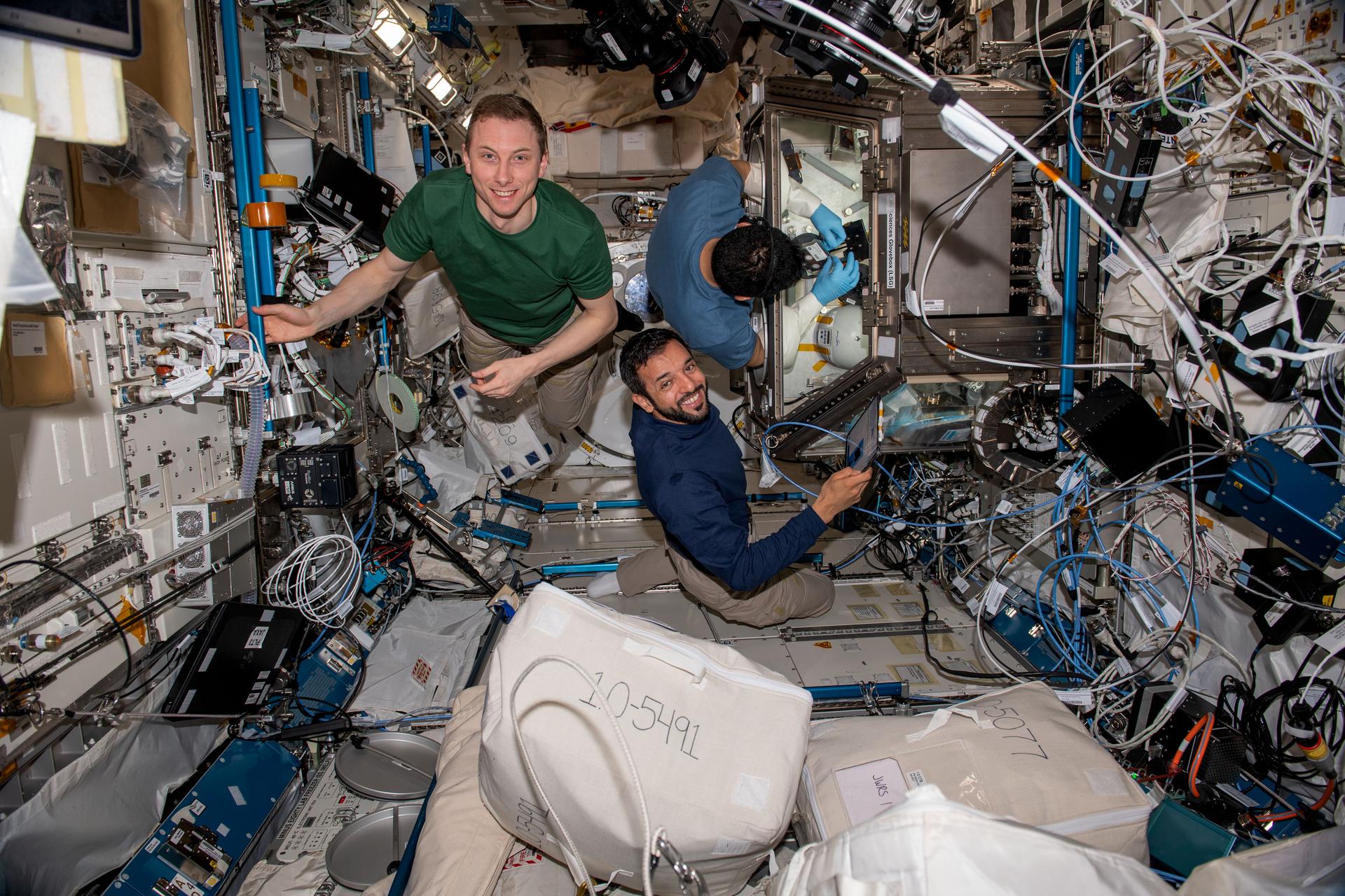 Tres astronautas trabajan en diversas tareas. En el sentido de las agujas del reloj, desde la izquierda, el astronauta de la NASA Woody Hoburg, vistiendo una camiseta verde, mira a la cámara y sonríe mientras flota y se sostiene a una barra en la pared. Rubio se mira las manos, que están dentro de la Caja de guantes de las Ciencias Biológicas. Sultan Alneyadi, de los Emiratos Árabes Unidos, sonríe a la cámara.