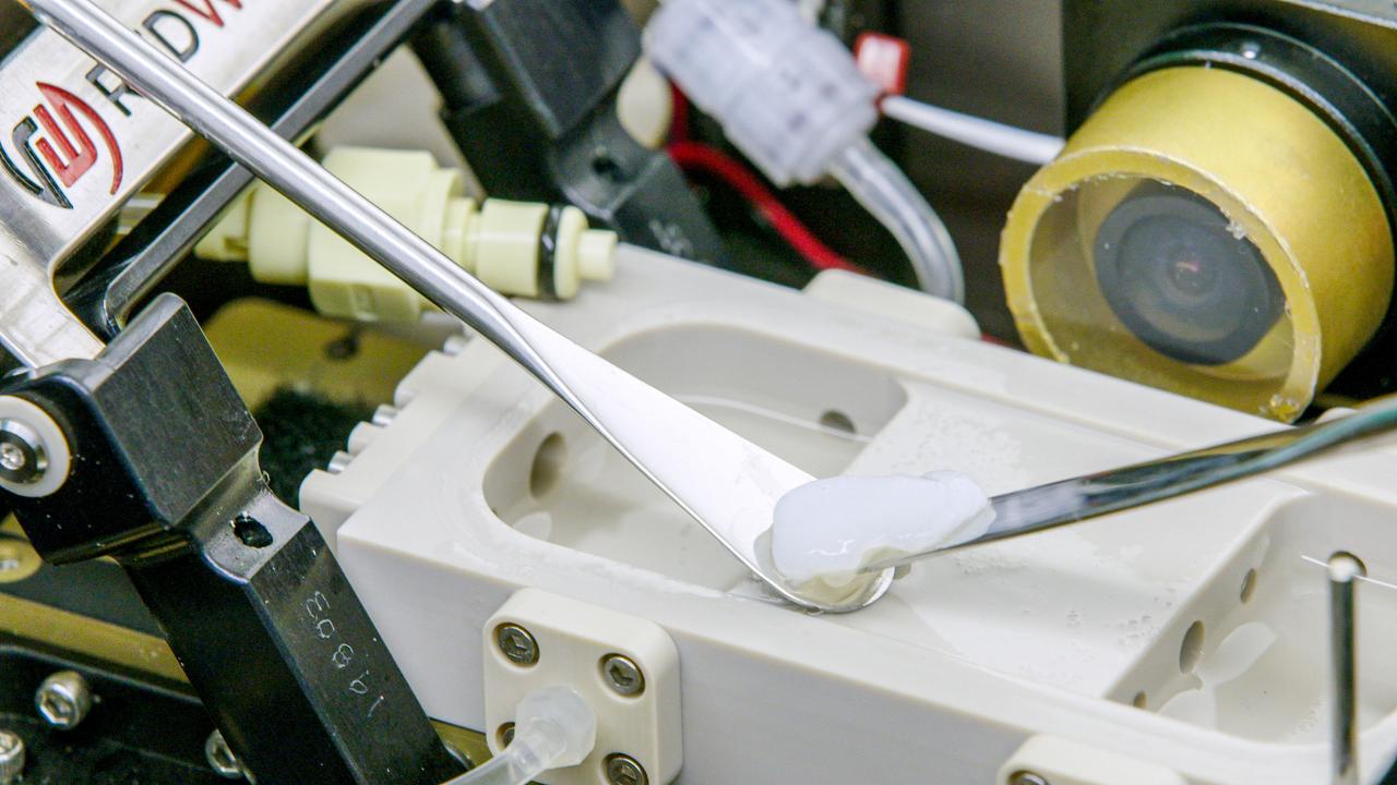 A small white piece of cartilage is held by two metal spatulas just above the printing well of the BioFabrication Facility.