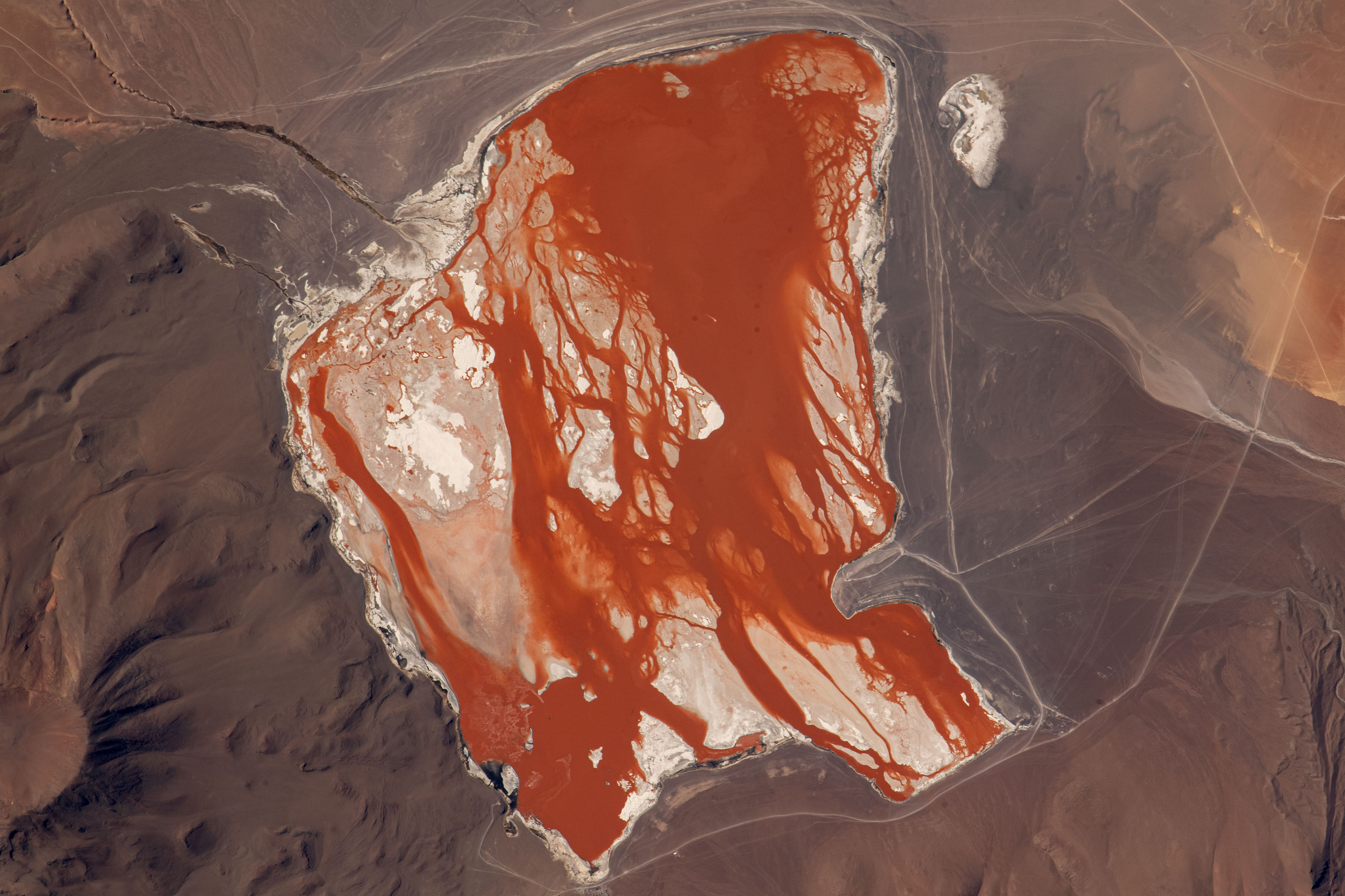 (Sept. 7, 2023) -- Laguna Colorada (Red Lagoon) shows off its vibrant red-brown color as the International Space Station soared roughly 265 miles above Bolivia. Located in the Bolivian Andes Mountains, the salt lake gets its bright hues from algae that thrive in the water.