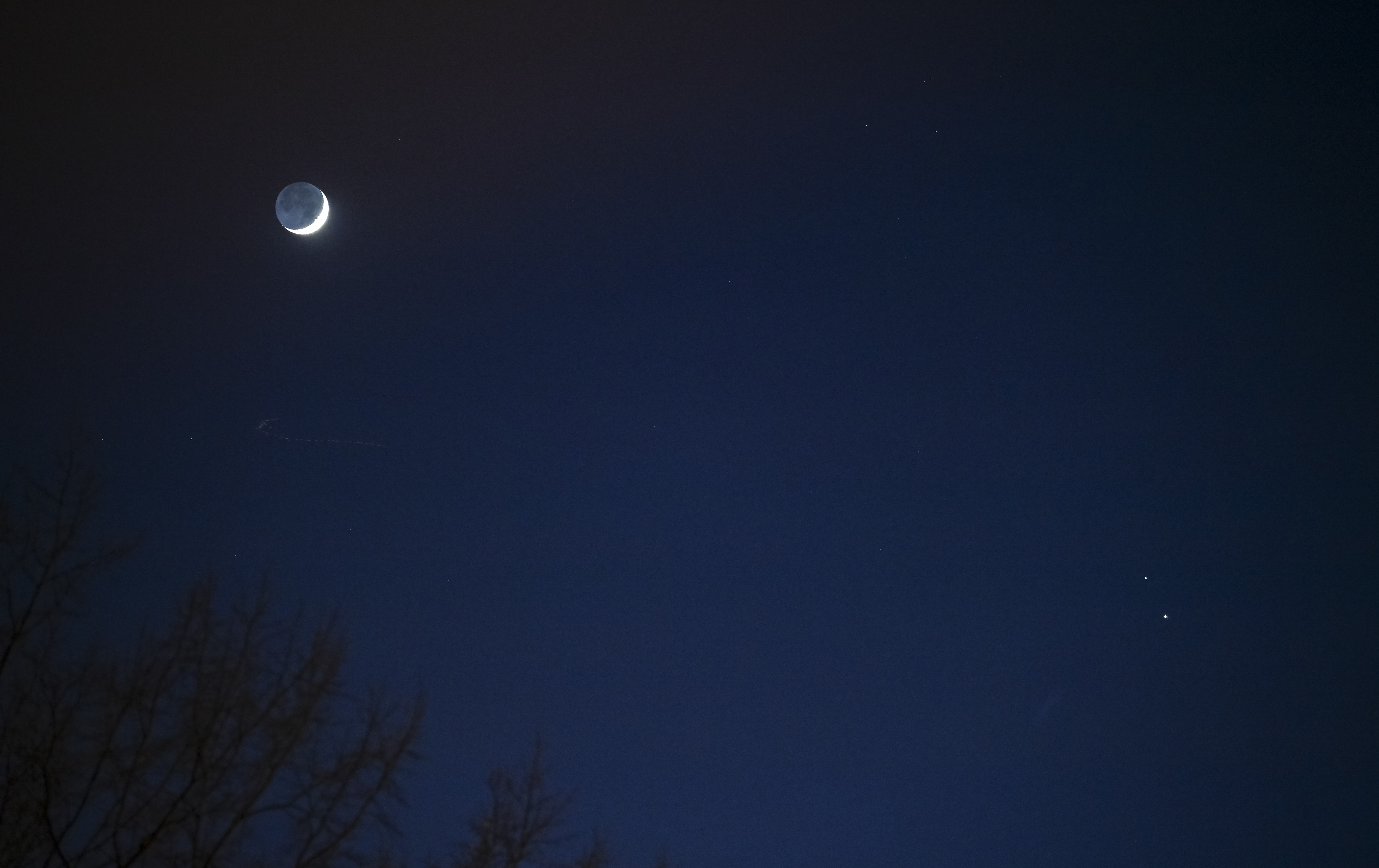 The night sky is deep blue, framed at bottom left by leafless trees branches. At top left, the Moon glows. Saturn and Jupiter are visible at upper right and upper left, respectively.