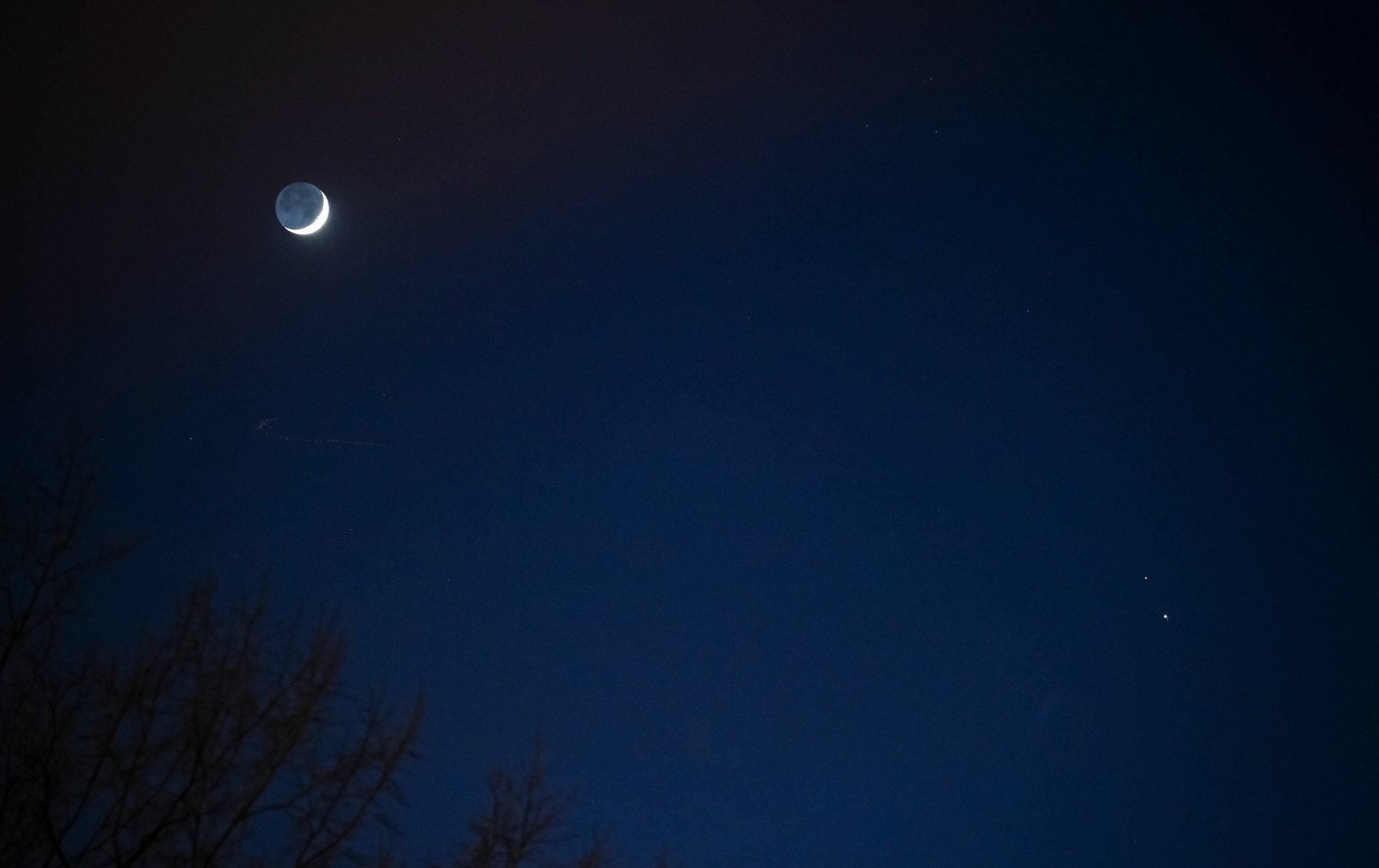 The night sky is deep blue, framed at bottom left by leafless trees branches. At top left, the Moon glows. Saturn and Jupiter are visible at upper right and upper left, respectively.