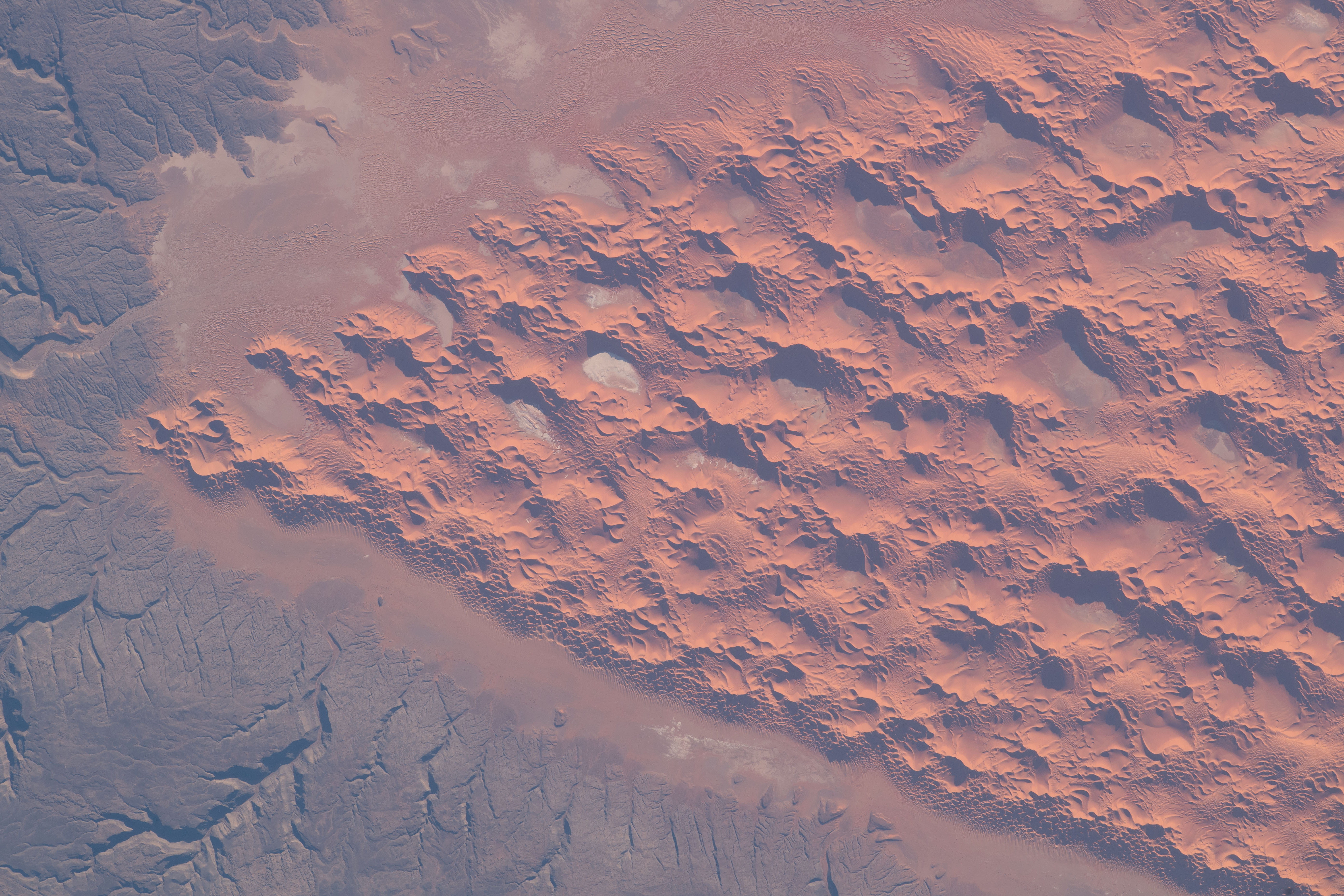 Wind shapes a prominent network of sand dunes in part of the Sahara Desert as the International Space Station orbited roughly 260 miles above Algeria. Each year, an estimated 100 million tons of dust is picked up by winds in the area.
