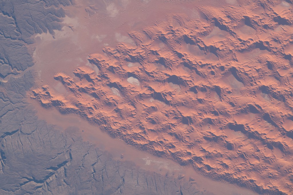 Wind shapes a prominent network of sand dunes in part of the Sahara Desert as the International Space Station orbited roughly 260 miles above Algeria. Each year, an estimated 100 million tons of dust is picked up by winds in the area.