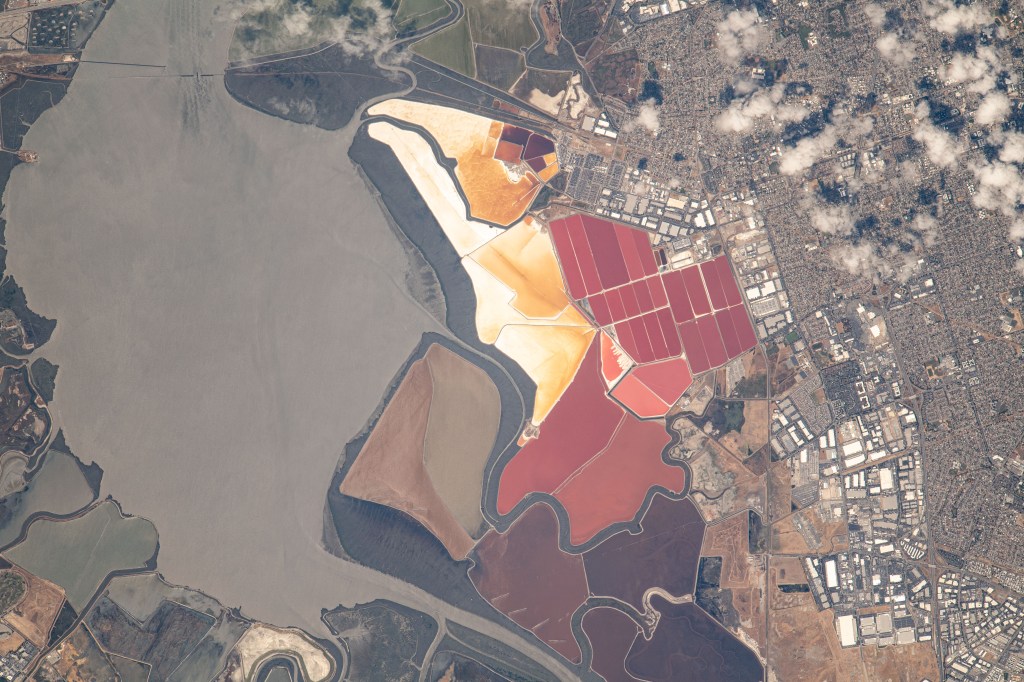 The South Bay Salt Ponds in the city of Newark, California show their vivid red and yellow-orange colors that primarily come from the microorganisms and brine shrimp in the waters. More than 16,500 acres are part of a restoration project— the largest in the West Coast—that includes pollution reduction, habitat expansion, and flood control. Expedition 69 Flight Engineer Woody Hoburg captured this image as the International Space Station orbited 260 miles above the coast of the Bay Area.