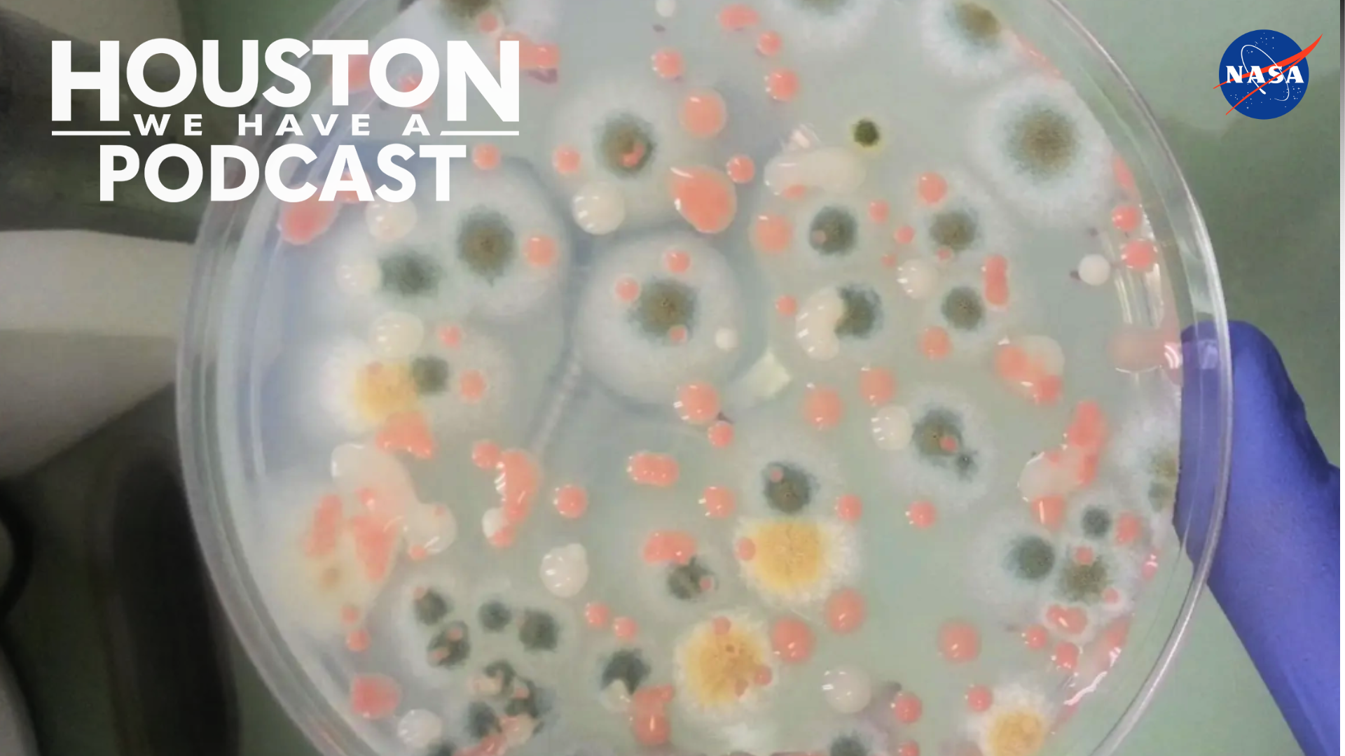Houston We Have a Podcast Ep. 315: Space Biology