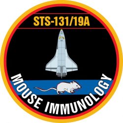 mouse immunology mission patch
