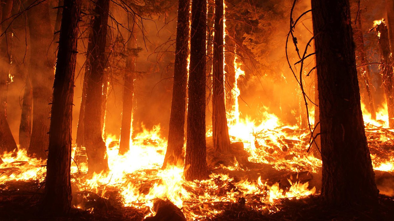 NASA MSI Incubator: Wildfire Climate Tech Challenge