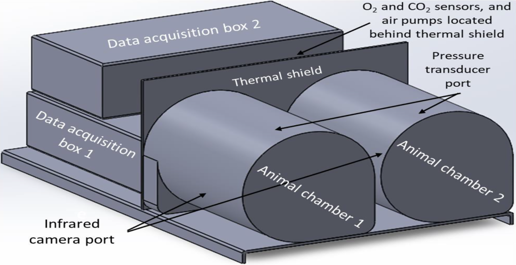
			A Revolutionary Approach to Interplanetary Space Travel: Studying Torpor in Animals for Space-health in Humans (STASH) - NASA			