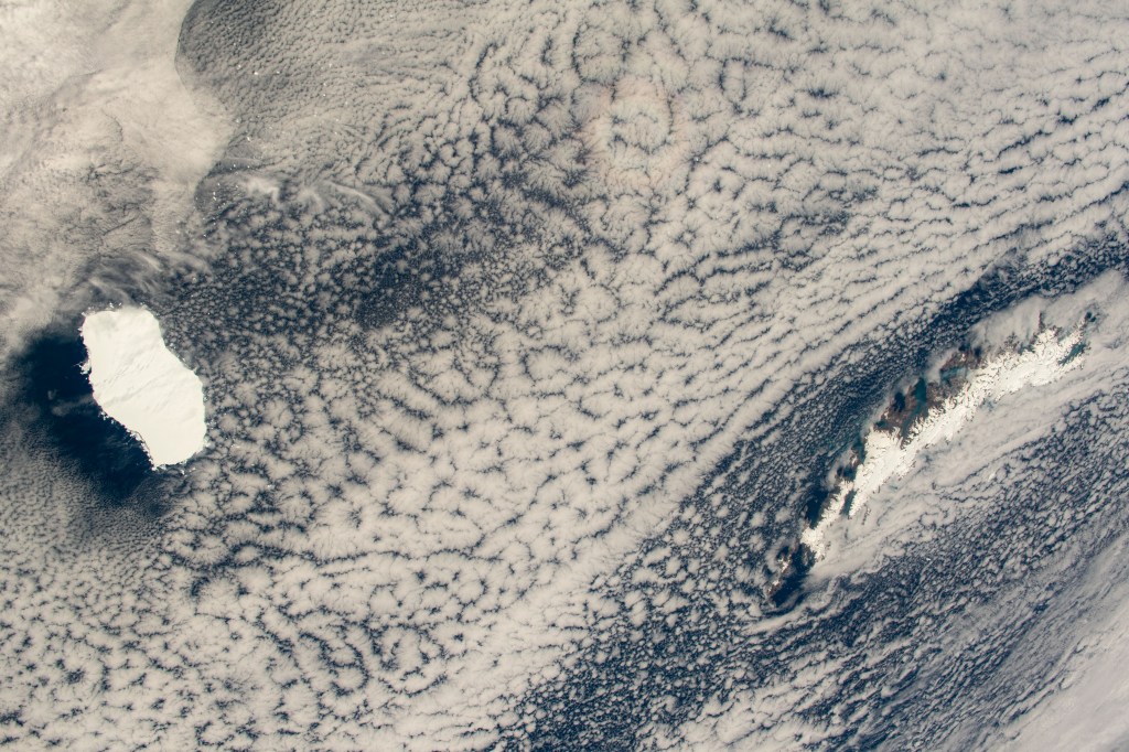 iss070e063904 (Jan. 8, 2024) -- What looks like clouds scattered over terrain is actually the British Overseas Territory, South Georgia and the South Sandwich Islands (to the right) and a large iceberg (to the left) in the South Atlantic Ocean. The mountainous collection of islands are permanently covered with ice and snow, blending into the clouds that hang low over the vast body of water that surrounds them as the International Space Station orbited 269 miles above.