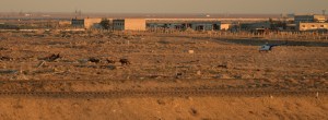 A security helicopter moves a heard of horses away from the train tracks in advance of the Soyuz rocket being rolled out to the launch pad, Tuesday, Oct. 9, 2018 at the Baikonur Cosmodrome in Kazakhstan. Expedition 57 crewmembers Nick Hague of NASA and Alexey Ovchinin of Roscosmos are scheduled to launch on October 11 and will spend the next six months living and working aboard the International Space Station.