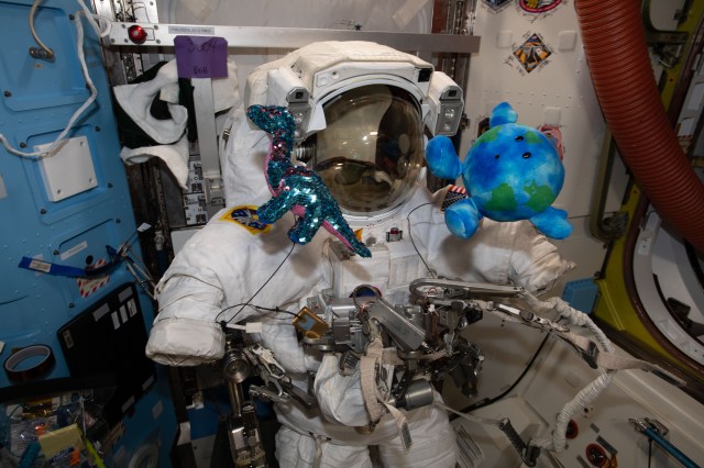 A U.S. spacesuit is pictured in the Quest airlock of the International Space Station ahead of a pair of spacewalks that astronauts Chris Cassidy and Behnken will conduct to upgrade orbital lab power systems. A pair of plush-doll mascots, (from left) Tremor and Little Earth, delivered aboard the first two SpaceX Crew Dragon vehicles are posed floating in front of the spacesuit.