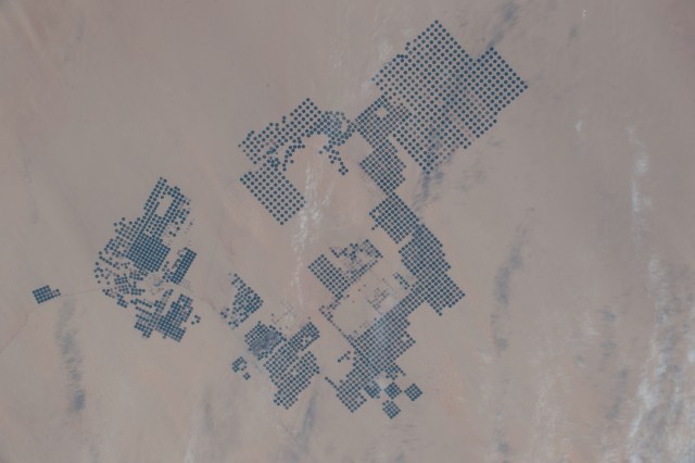 iss068e050817 (Feb. 9, 2023) --- An agricultural development in Egypt's New Valley Governate near the Sudan border is pictured from the International Space Station as it orbited 258 miles above the eastern Sahara.