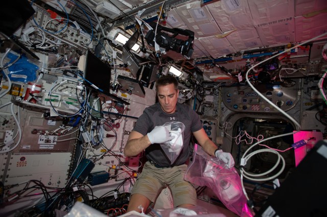 NASA astronaut and Expedition 63 Commander Chris Cassidy services botany research hardware inside the European Space Agency's Columbus laboratory module. The Veggie PONDS research facility in Columbus supports the growing and harvesting of lettuce and mizuna greens to demonstrate reliable vegetable growth during spaceflight.