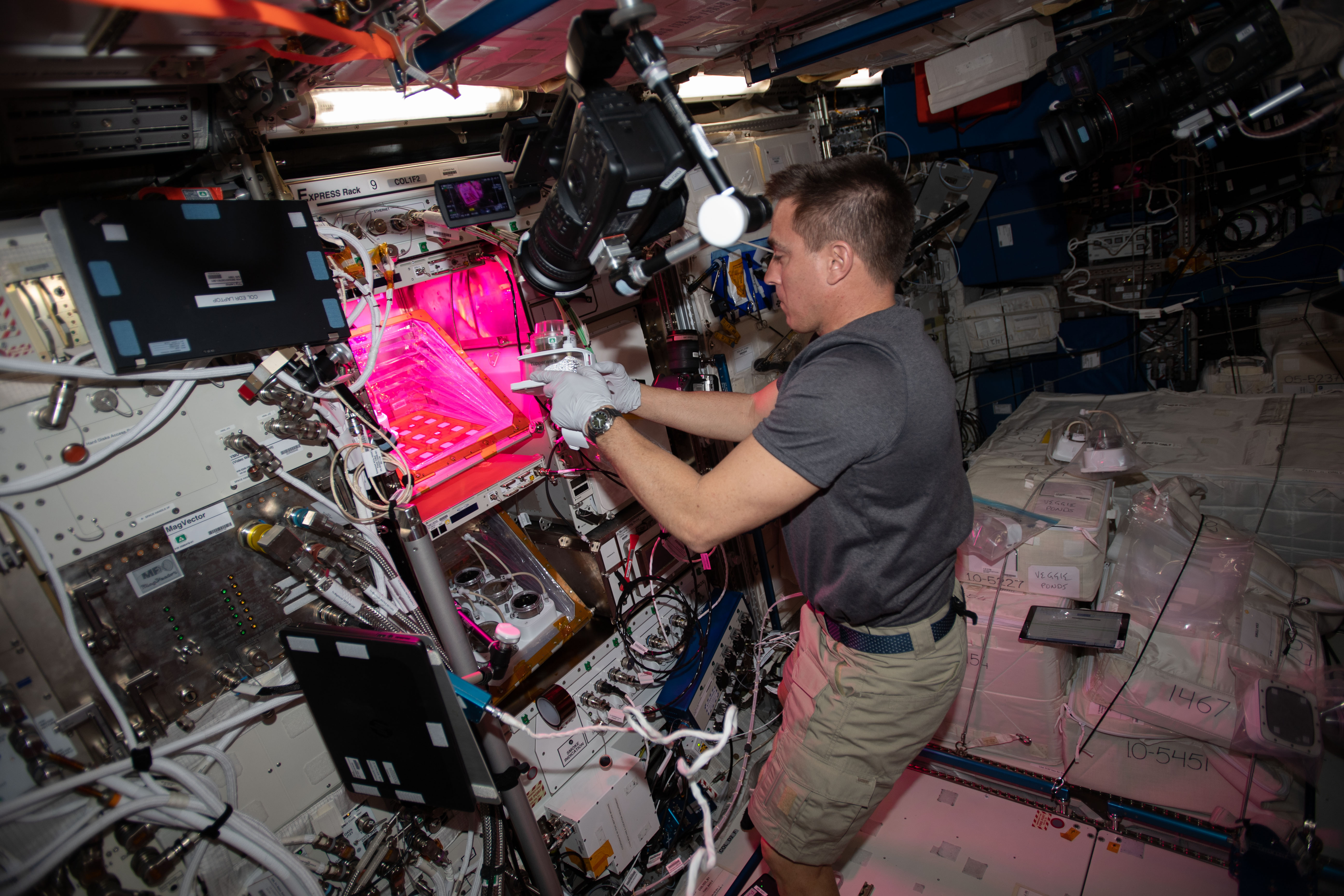NASA astronaut and Expedition 63 Commander Chris Cassidy services botany research hardware inside the European Space Agency's Columbus laboratory module. The Veggie PONDS research facility in Columbus supports the growing and harvesting of lettuce and mizuna greens to demonstrate reliable vegetable growth during spaceflight.