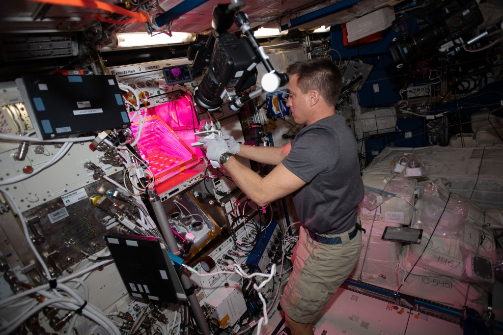 NASA astronaut and Expedition 63 Commander Chris Cassidy services botany research hardware inside the European Space Agency's Columbus laboratory module. The Veggie PONDS research facility in Columbus supports the growing and harvesting of lettuce and mizuna greens to demonstrate reliable vegetable growth during spaceflight.
