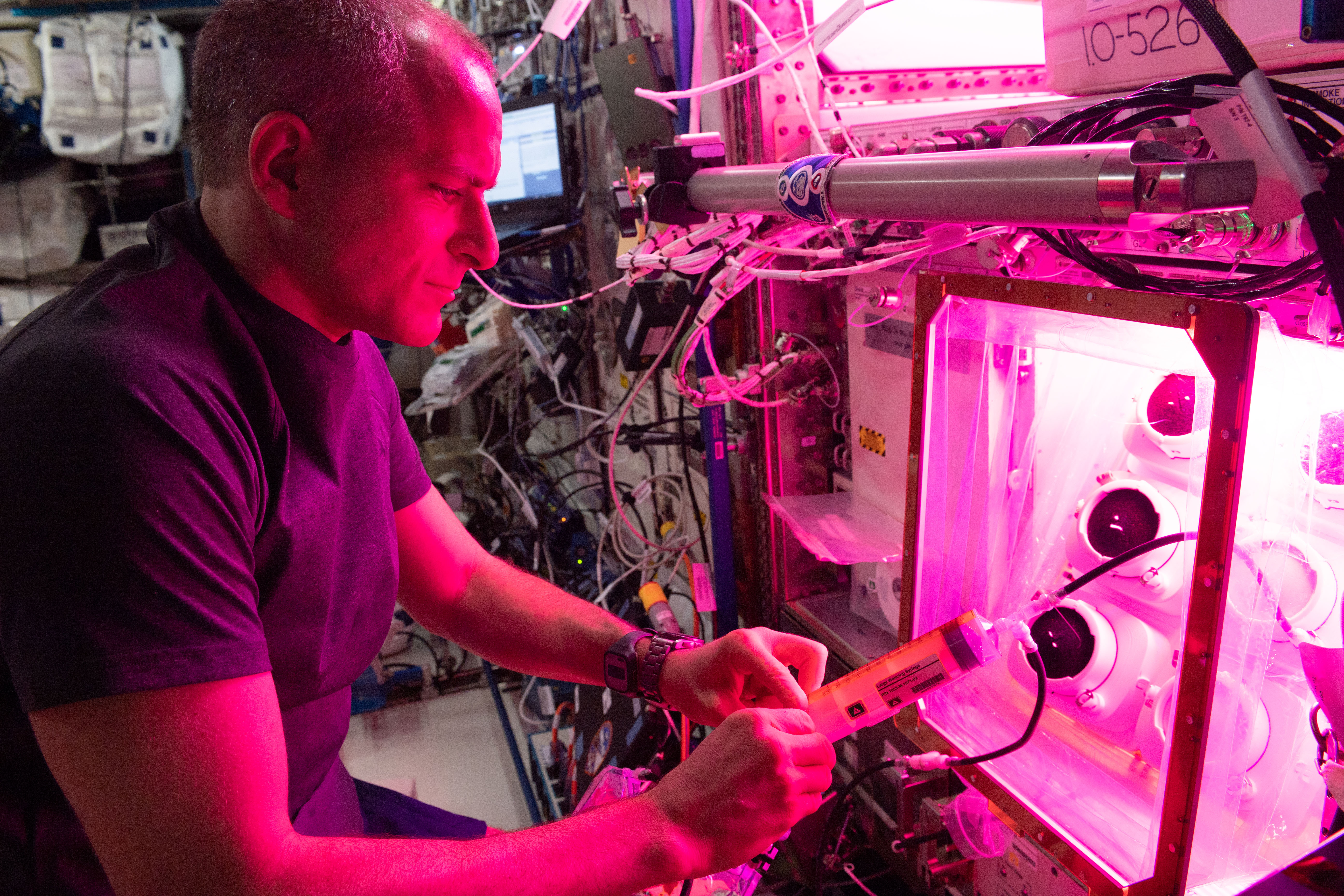 Canadian Space Agency (CSA) is photographed performing a reservoir fill on the Veggie Ponds facility in the Columbus module of the International Sp...