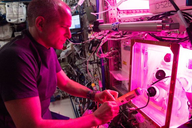 Canadian Space Agency (CSA) is photographed performing a reservoir fill on the Veggie Ponds facility in the Columbus module of the International Space Station. The primary goal of the Veggie PONDS hardware validation test is to demonstrate plant growth in a newly developed plant growing system, Passive Orbital Nutrient Delivery System.