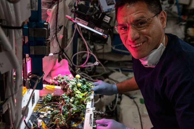iss068e015480 (Oct. 11, 2023) --- NASA astronaut and Expedition 68 Flight Engineer Frank Rubio is photographed performing fluid management and seed cartridge/plant inspections on the eXposed Root On-Orbit Test System (XROOTS) payload.