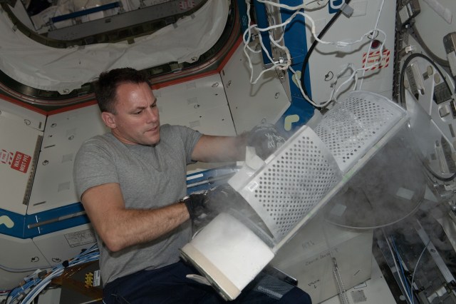 iss068e018995 (Oct. 24, 2022) --- NASA astronaut and Expedition 68 Flight Engineer Josh Cassada stows blood samples from previous blood collection activities inside a science freezer aboard the International Space Station.