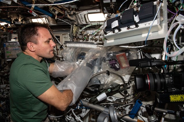 iss068e053964 (Feb. 14, 2023) --- NASA astronaut and Expedition 68 Flight Engineer Josh Cassada uses a plastic glovebox attached to the BioFabrication Facility (BFF) and tests the research device's performance. The BFF is located in the International Space Station's Columbus laboratory module and seeks to take advantage of the microgravity environment and demonstrate the printing of organ-like tissues in space which may lead to the future manufacturing of human organs.