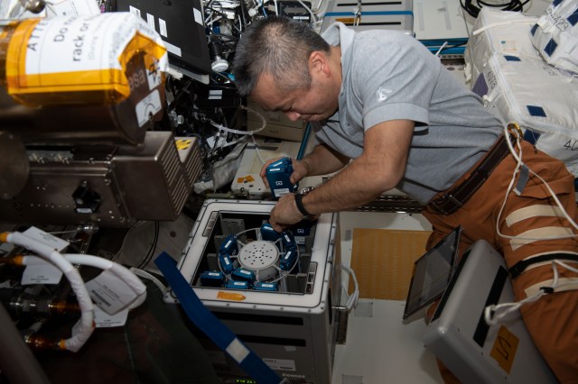 iss068e021831 (Nov. 14, 2022) --- Astronaut and Expedition 68 Flight Engineer Koichi Wakata of the Japan Aerospace Exploration Agency (JAXA) removes experiment containers from inside the Columbus laboratory module's Kubik research facility, a temperature-controlled incubator. The experiment containers are part of the Antioxidation Protection experiment that explores neuronal cells involved in the cognitive and motor functions of humans both in space and on Earth. Credit: Nicole Mann/NASA