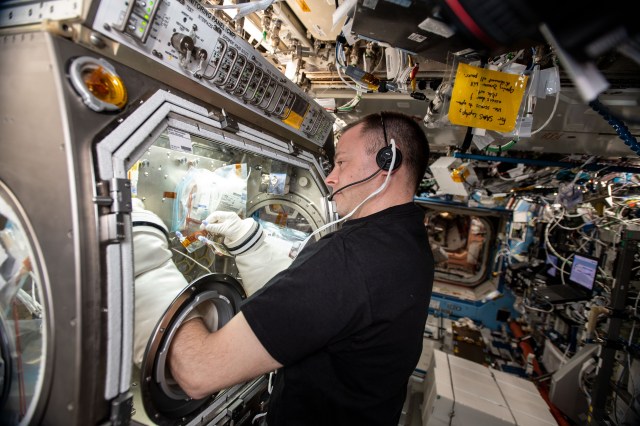 NASA astronaut Nick Hague conducts pathogen research operations in the U.S. Destiny laboratory module's Microgravity Sciences Glovebox. Hague is exploring why pathogens become more virulent in the weightless environment of outer space posing a flight risk to astronauts.
