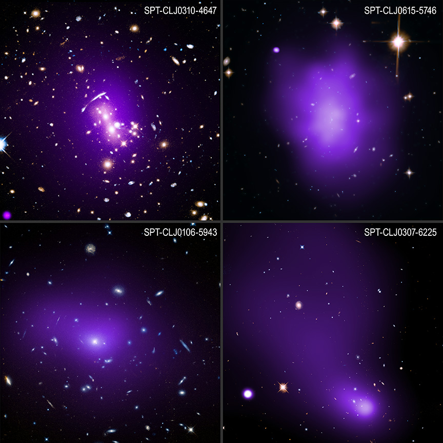 This release includes composite images of four galaxy clusters, presented in a two-by-two grid. Each image features a hazy, purple cloud representing X-rays from hot gas observed by Chandra. The distant galaxies in and around the clouds of hot gas have been captured in optical data, and are shown in golden yellows with hints of vibrant cyan blue.
