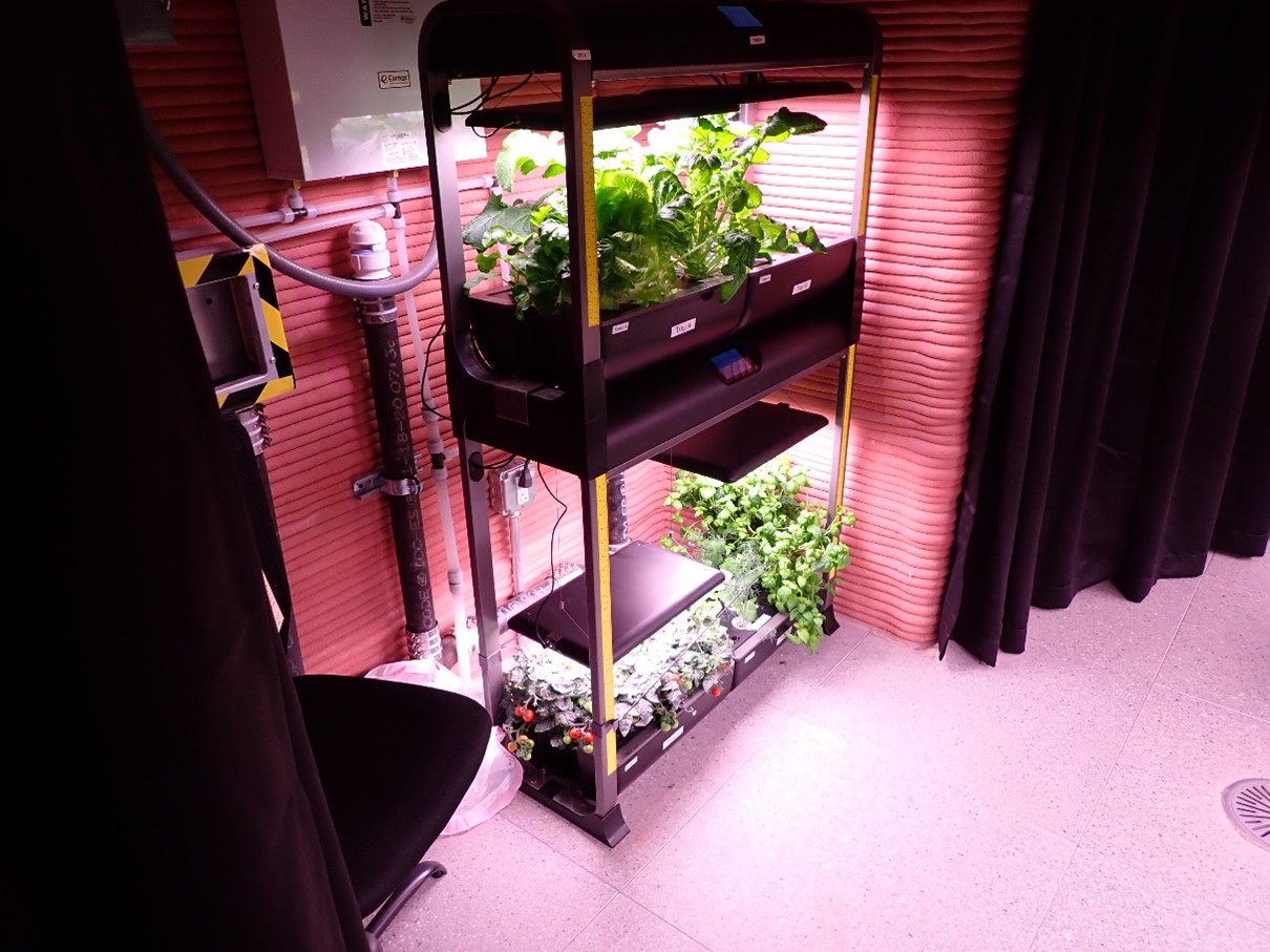 The crop growth system inside the CHAPEA habitat is similar to systems used for indoor home gardening and provides water, nutrients, and lighting that can support the growth of leafy crops, herbs, and small fruits.
