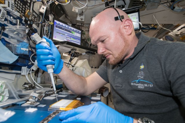 Commander Alexander Gerst uses a uses a pipette to transfer a protein solution into the Protein Crystal Growth Card for an experiment observing protein crystals associated with Parkinson’s disease to potentially improve treatments on Earth.