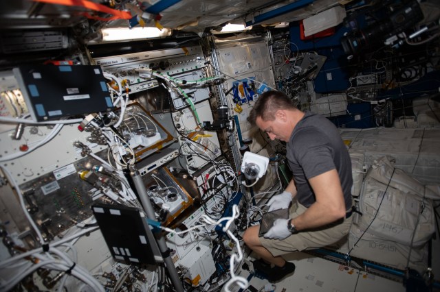 NASA astronaut and Expedition 63 Commander Chris Cassidy works inside the Columbus Laboratory module servicing the Veggie PONDS botany research hardware.